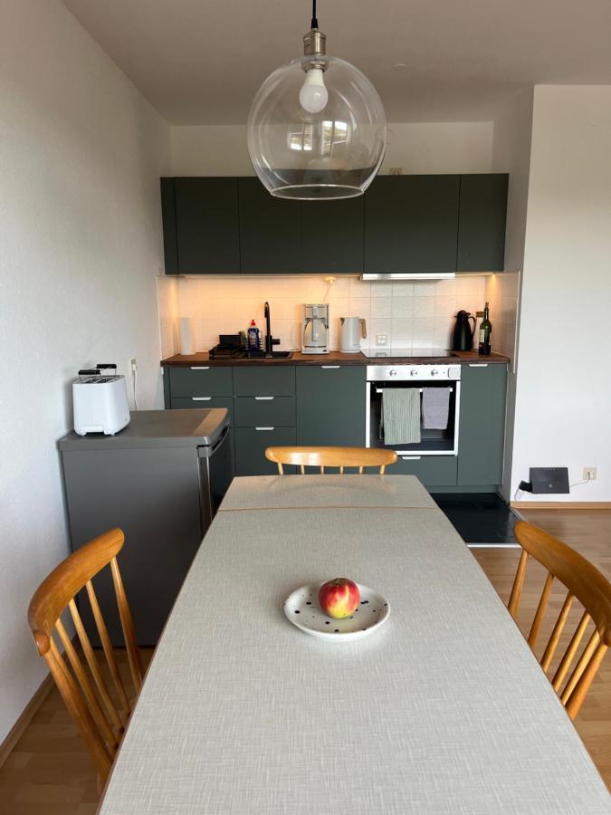 Helle Wohnung Mit Grossem Balkon Oberreute Bagian luar foto