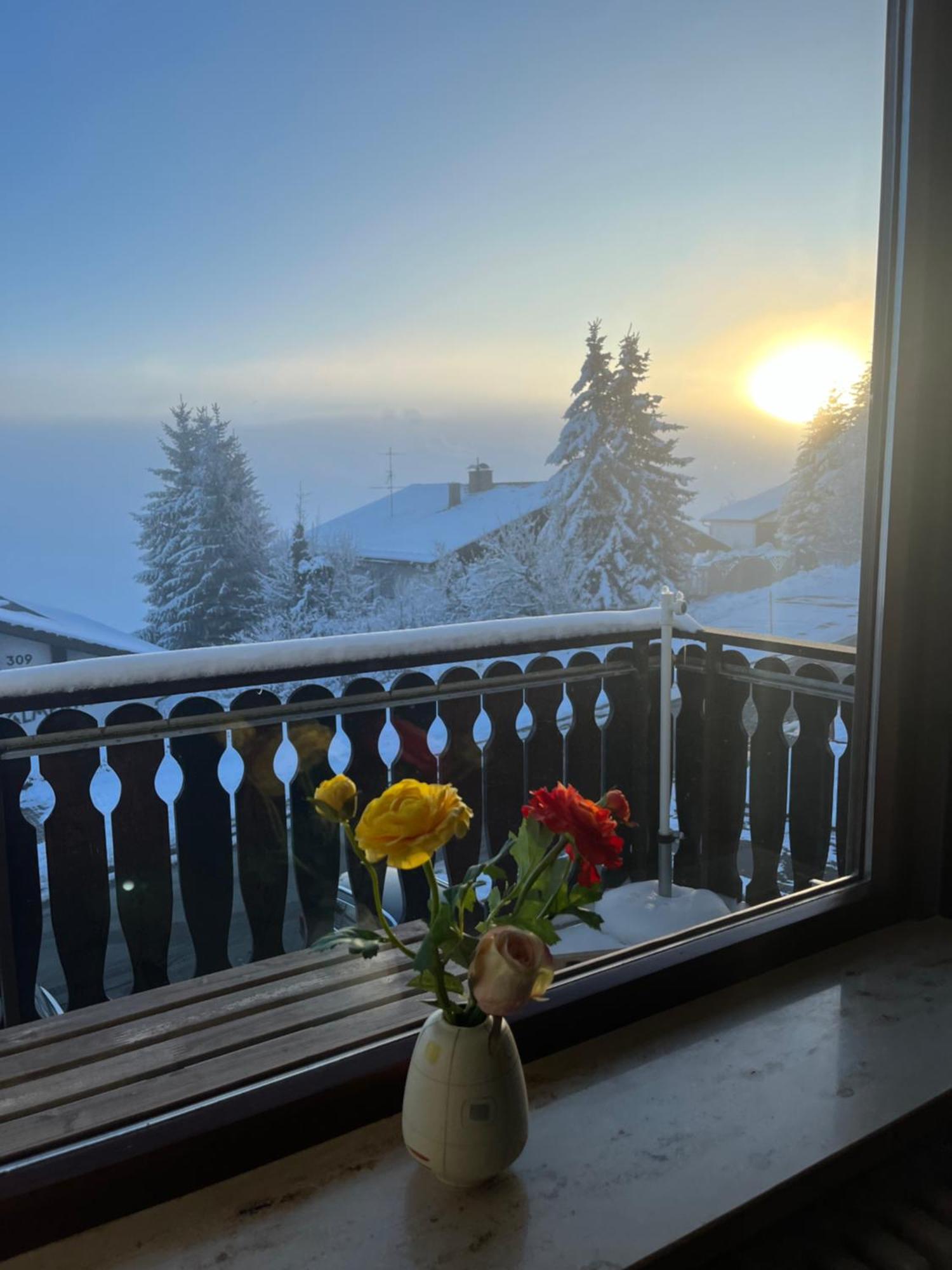 Helle Wohnung Mit Grossem Balkon Oberreute Bagian luar foto